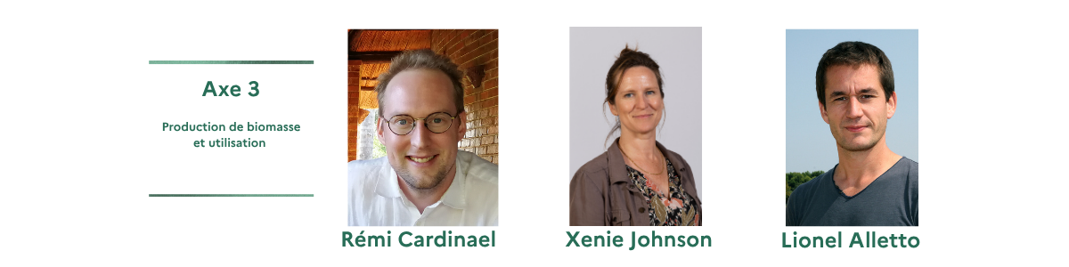 Axe 3 Animation .png