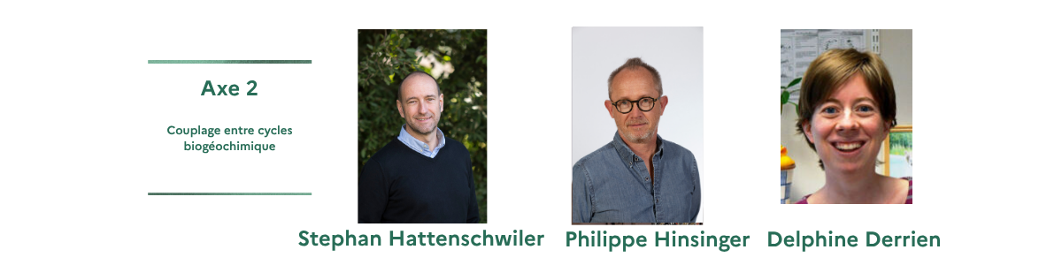 Axe 2 Animation (1).png