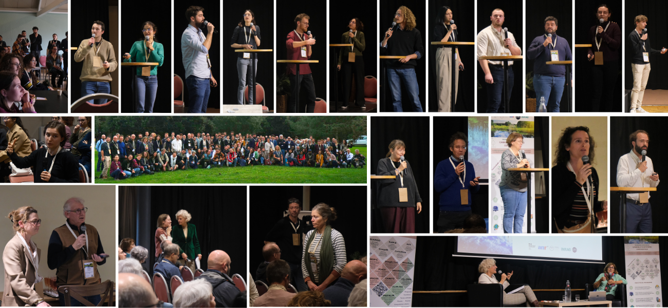 Montage Photos .png Montage Photos .png