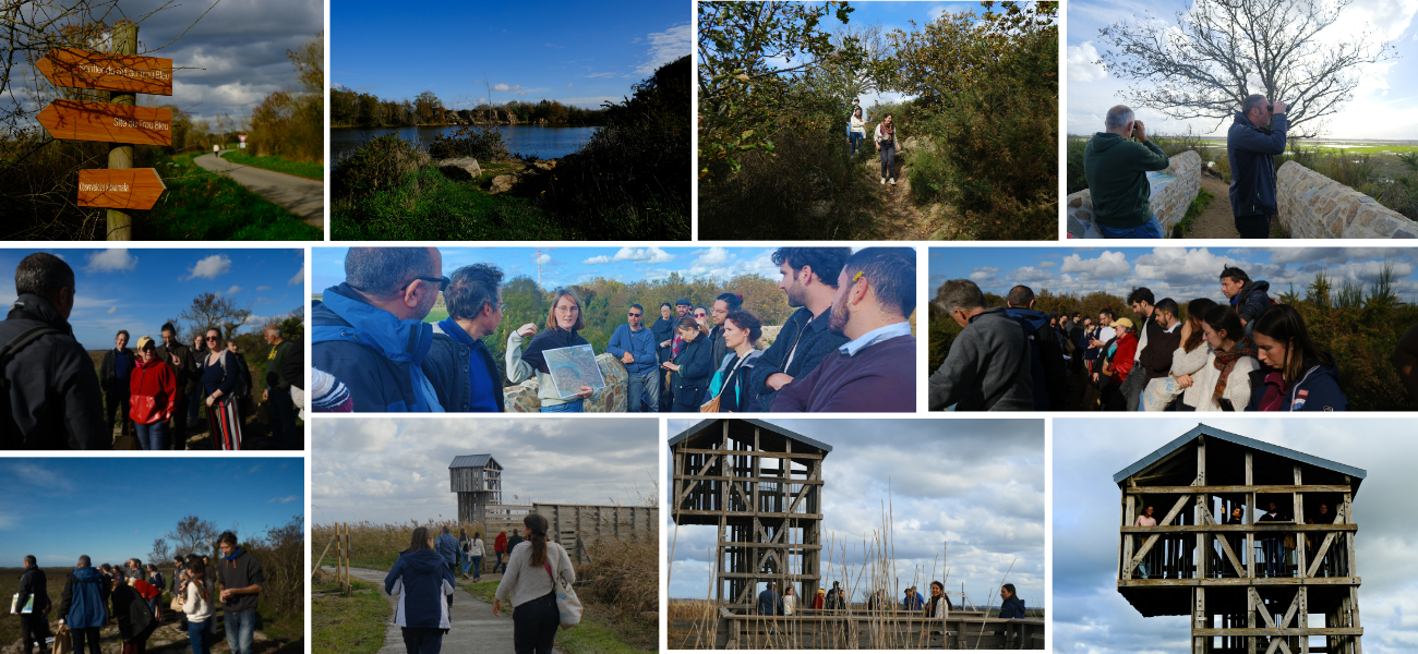 Montage Photos (3).png Montage Photos (3).png