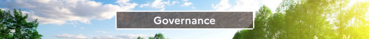 Governance Governance
