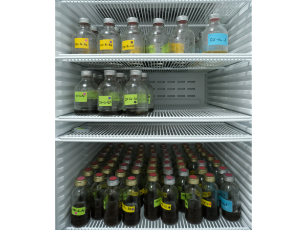 Exp&eacute;dition PEACE 10 frigo droit