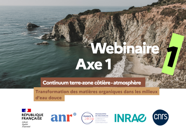 Webinaire Axe 1(8).png