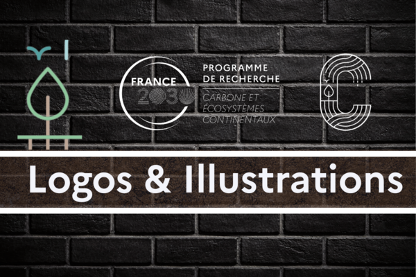 Copie de Vignette Posters scientifiques (1).png