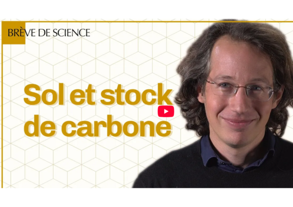 CNRS Pierre Barr&eacute; Sol et stock de C .png