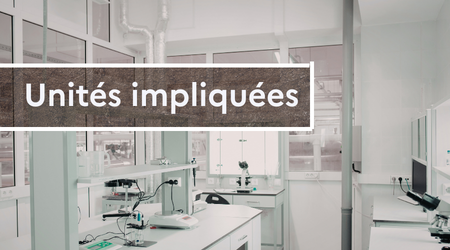 Unit&eacute;s impliqu&eacute;es .png