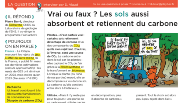Mon Quotidien.png Mon Quotidien.png