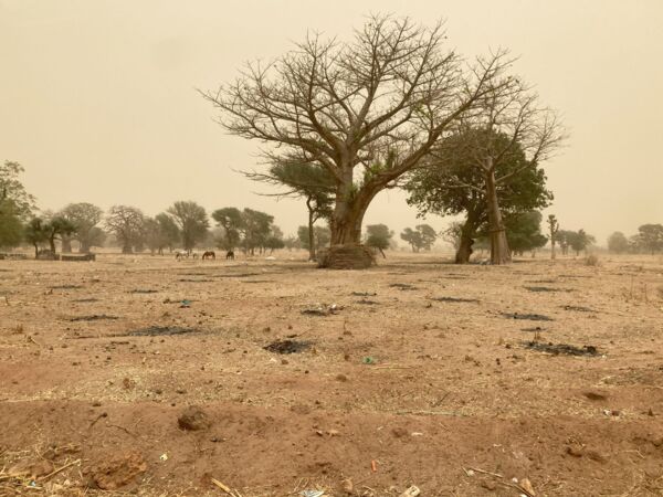 SLAM-B Sc&eacute;natio Lab S&eacute;n&eacute;gal 4