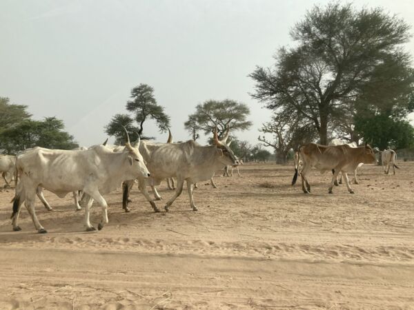 SLAM-B Sc&eacute;natio Lab S&eacute;n&eacute;gal 3
