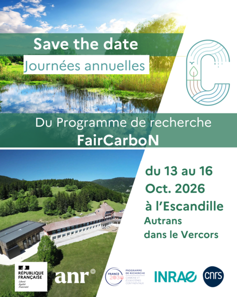 STD JA26 FairCarboN (2).png