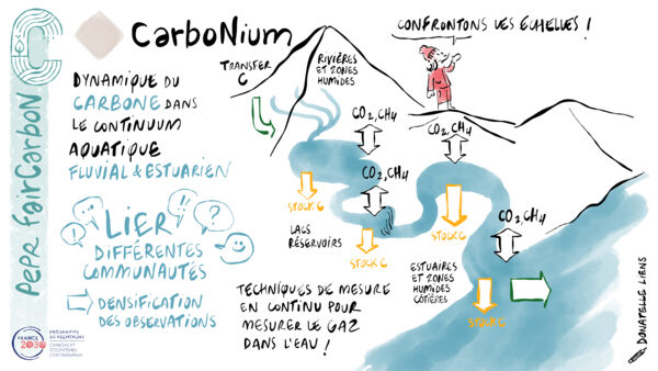 CarboNium dessin VF CarboNium dessin VF