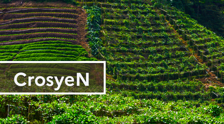 CrosyeN / PC4 / Axe 2 & 3