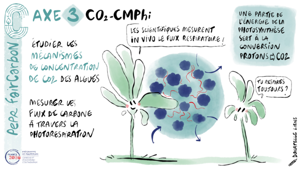 CO2_CMPhi dessin VF CO2_CMPhi dessin VF